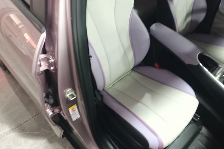 比亚迪 海豚 2021款 405km 时尚版局部细节41