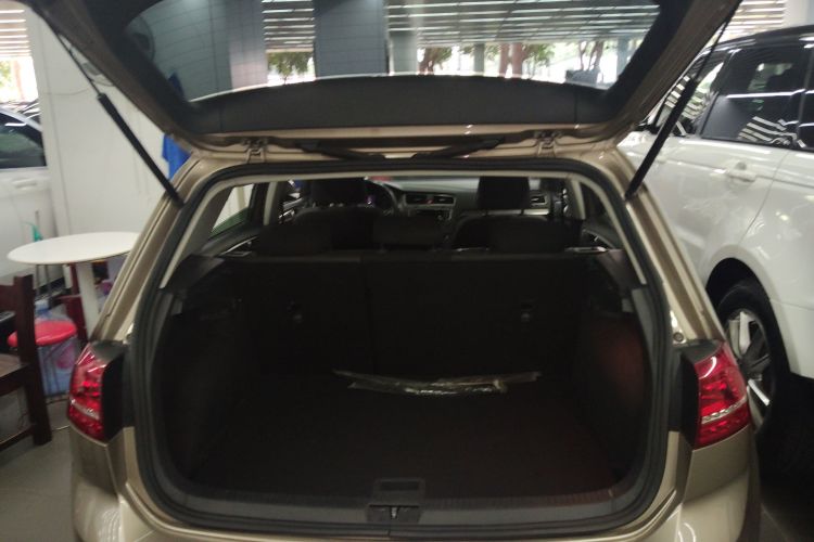 大众 高尔夫 2016款 230TSI 自动舒适型局部细节23