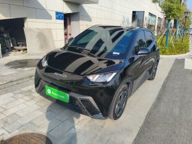 比亚迪 海鸥 2023款 飞翔版