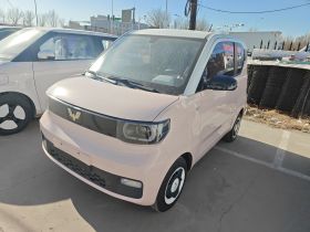 五菱汽车 宏光MINIEV 2021款 马卡龙时尚款 三元锂