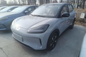 五菱汽车 五菱缤果PLUS 2024款 330km 五座版