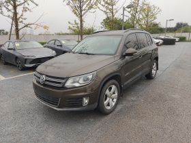 大众 途观 2013款 1.8TSI 自动两驱舒适版