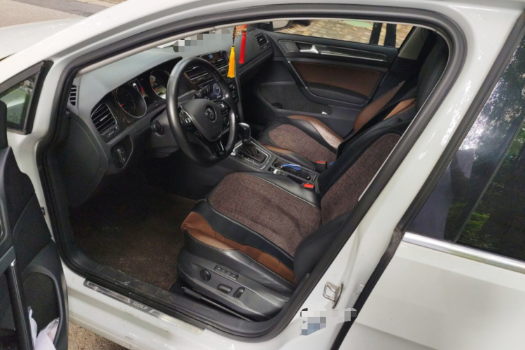 大众 高尔夫 2018款  230TSI 自动豪华型局部细节19