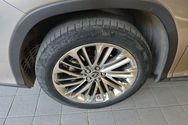 雷克萨斯RX 2020款 改款 450hL 四驱典雅版7座车身外观6007