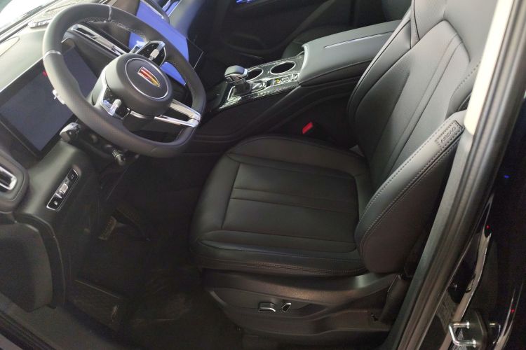 红旗HS3 PHEV 2024款 PHEV 115km 劲为版中控内饰19