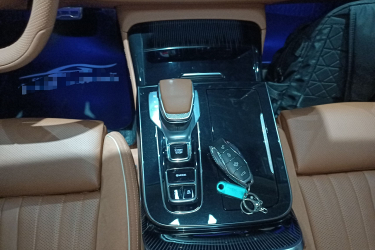 红旗H9 2024款 2.0T 旗畅 私享风尚版中控内饰18