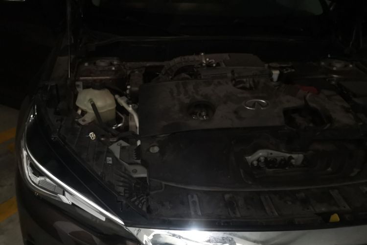 英菲尼迪QX50 2018款 2.0T 四驱菁英版局部细节9003