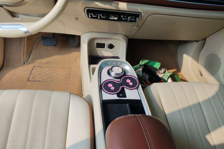 欧拉好猫 2021款 400km标准续航 维纳斯版 三元锂局部细节18