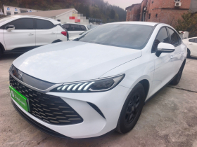 比亚迪 秦PLUS 2025款 DM-i 智驾版 55KM领先型