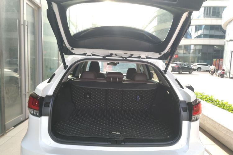 雷克萨斯RX 2020款 改款 300 两驱舒适版机舱底盘23