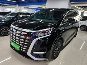 腾势D9 2022款 DM-i 1040 尊贵型