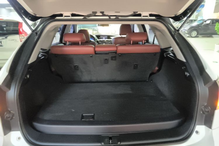 雷克萨斯RX经典 2013款 270 精英版局部细节23