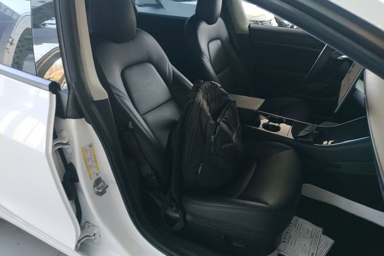 特斯拉 Model 3(进口) 2019款 标准续航后驱升级版(60度)局部细节41