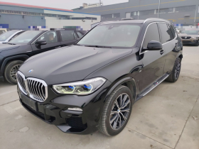宝马X5(进口) 2020款 xDrive40i M运动套装