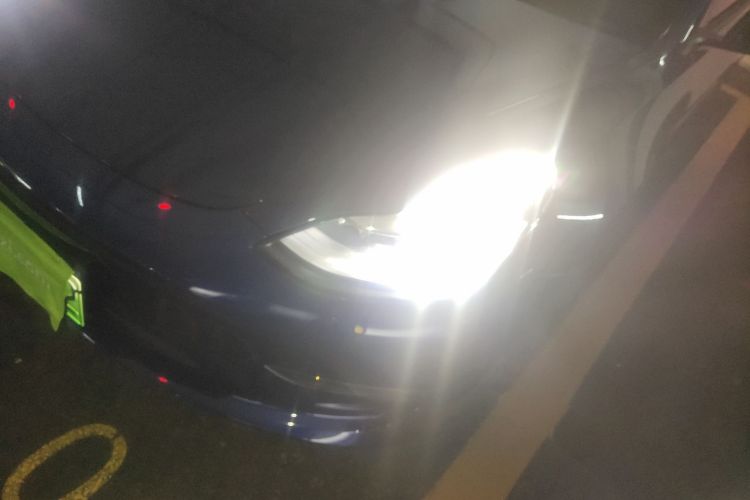 特斯拉 Model 3(进口) 2019款 长续航后驱版局部细节36