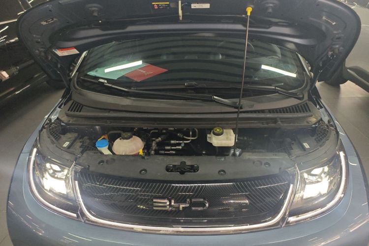 比亚迪 海豚 2024款 荣耀版 420km 时尚版机舱底盘24