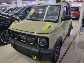 吉利银河 2025款 210km 熊猫骑士