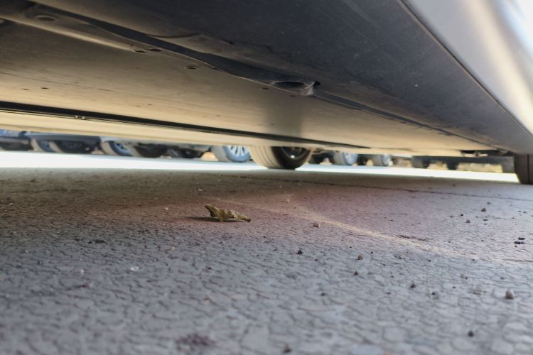 特斯拉 Model 3 2023款 后轮驱动版局部细节9002