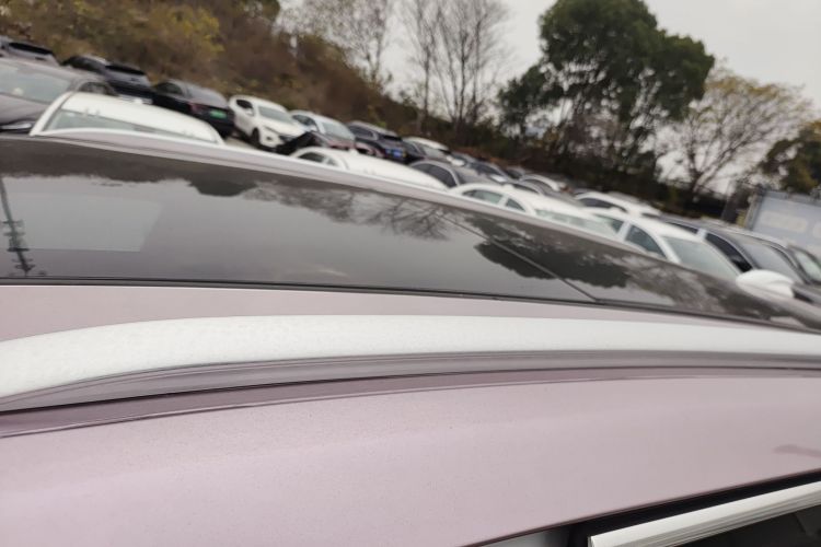 红旗E-HS9 2021款 460km 旗享版 六座局部细节57