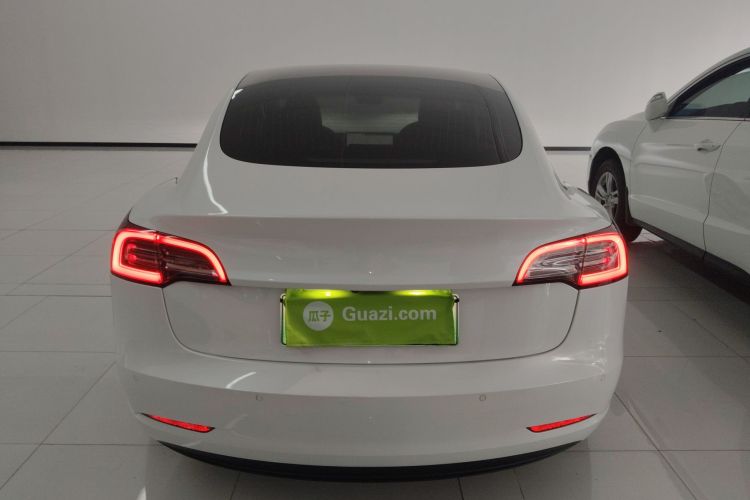 特斯拉 Model 3(进口) 2019款 长续航后驱版车身外观6