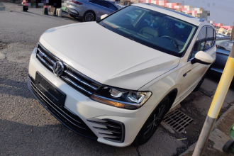 大众 途观L新能源 2019款 430PHEV 混动豪华版