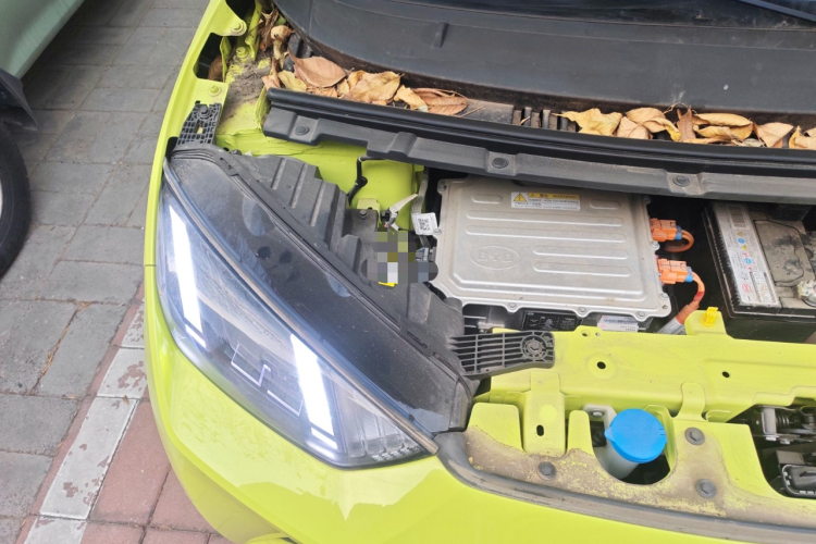 比亚迪 海鸥 2023款 自由版局部细节9006