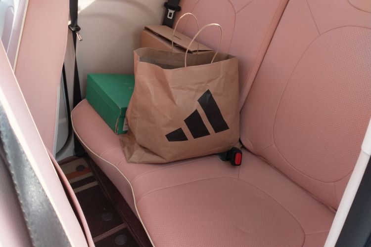 奔腾小马 2026款 222km 萌趣马 Plus中控内饰7004