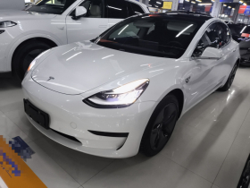 特斯拉 Model 3 2020款 改款 标准续航后驱升级版