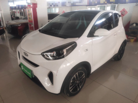 奇瑞新能源 小蚂蚁 2021款 20万蚁粉款 才气版 磷酸铁锂 301km