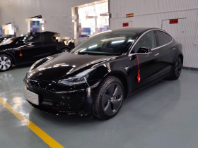 特斯拉 Model 3 2019款 标准续航后驱升级版