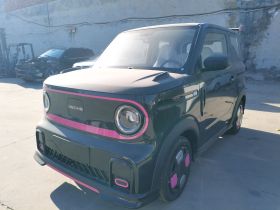 吉利银河 2025款 210km 熊猫卡丁