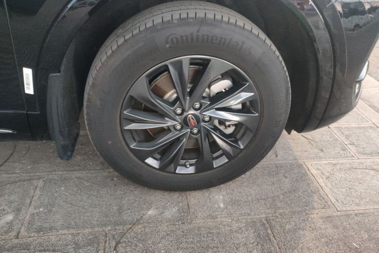 红旗HS5 2023款 2.0T 旗享Pro版车身外观10