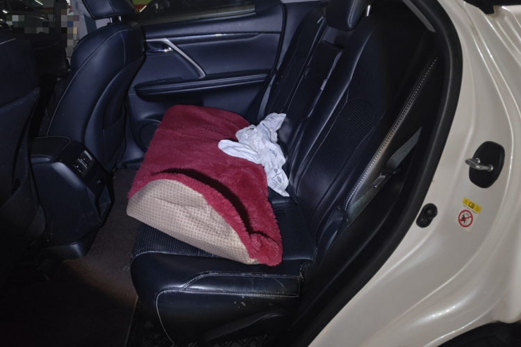 雷克萨斯RX 2016款 300 两驱精英版 国V中控内饰7004