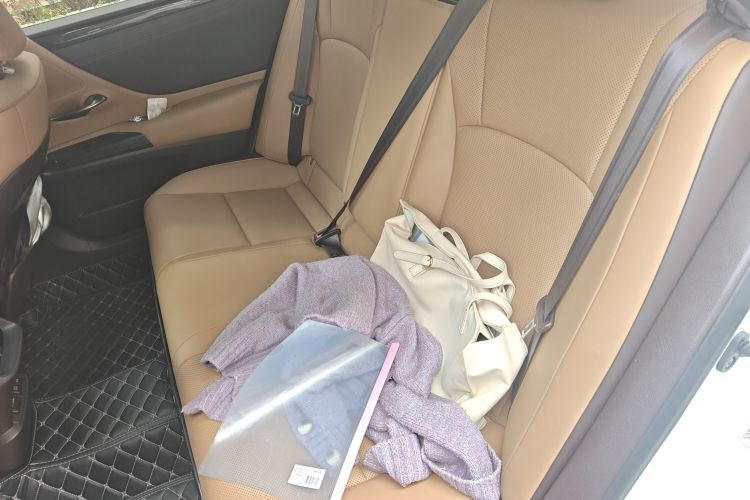 雷克萨斯ES 2018款 200 卓越版 国VI中控内饰7004