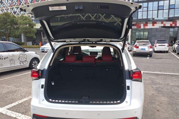 雷克萨斯NX 2020款 200 全驱 锋尚版 国VI机舱底盘23