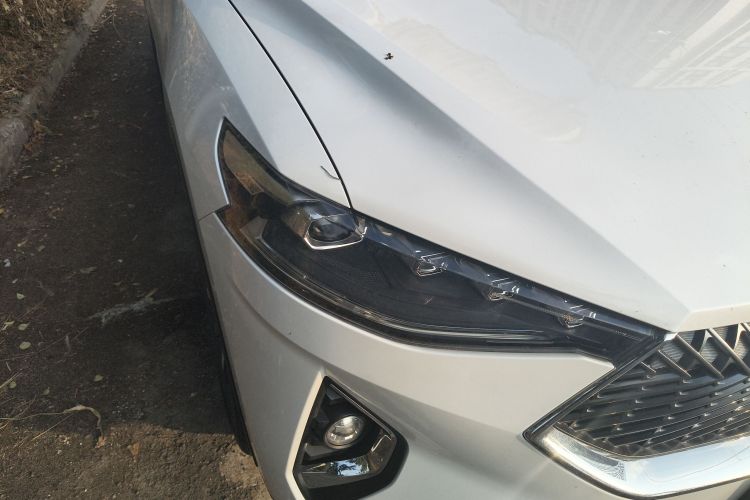 哈弗F7 2021款 1.5T 两驱i型车身外观8