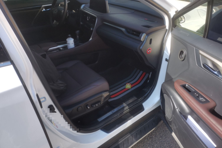 雷克萨斯RX 2020款 300 四驱典雅版 国VI局部细节9005