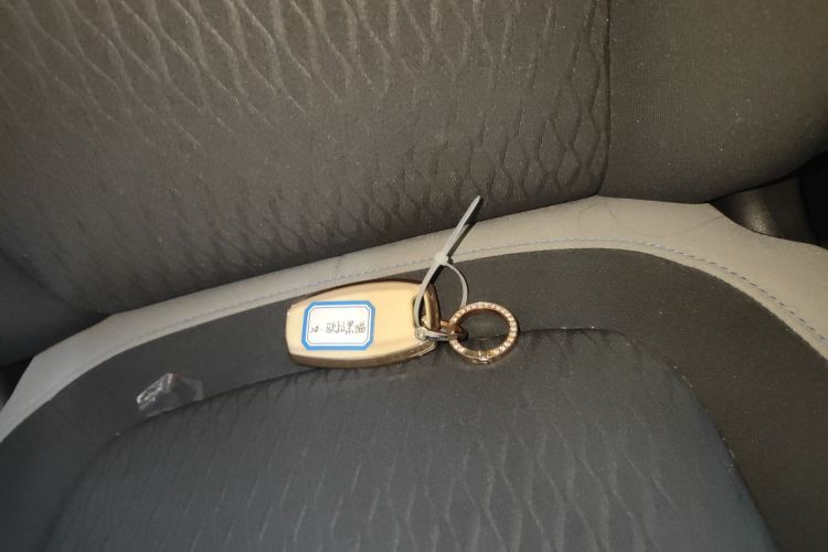 欧拉黑猫 2019款 351km 亲子版中控内饰11