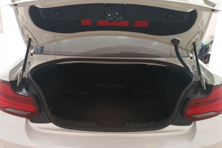 宝马2系(进口) 2018款 220i 运动设计套装局部细节23