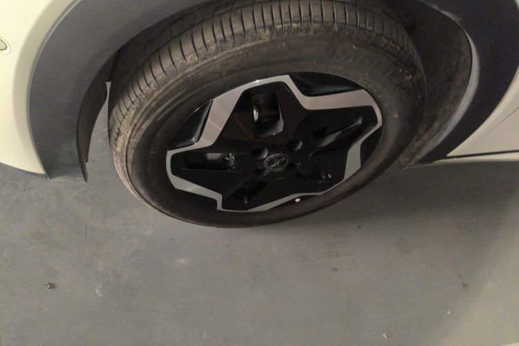 比亚迪 海豚 2025款 智驾版 420km 自由版车身外观6001