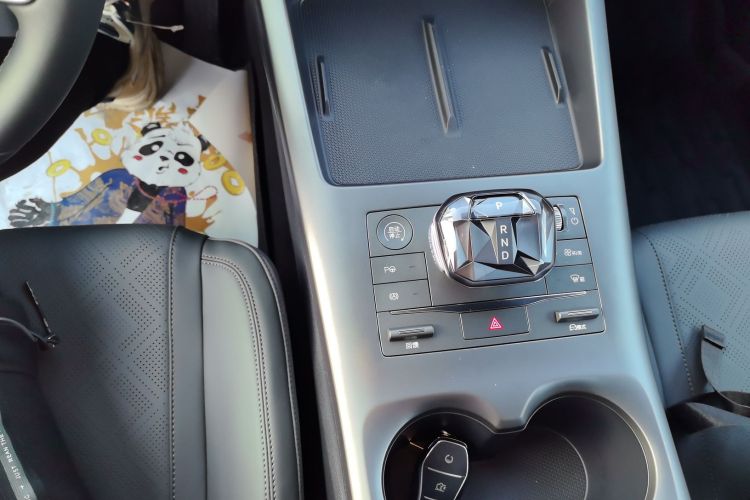 比亚迪 秦PLUS 2025款 EV 智驾版 510KM领先型局部细节18