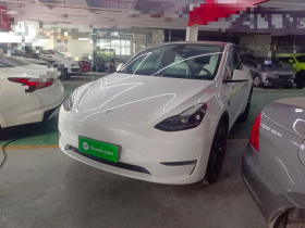特斯拉 Model Y 2022款 长续航全轮驱动版