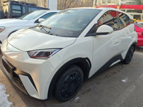 比亚迪 海鸥 2024款 荣耀版 305km 活力版