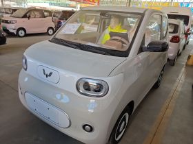 五菱汽车 宏光MINIEV 2024款 第三代 215km 青春版