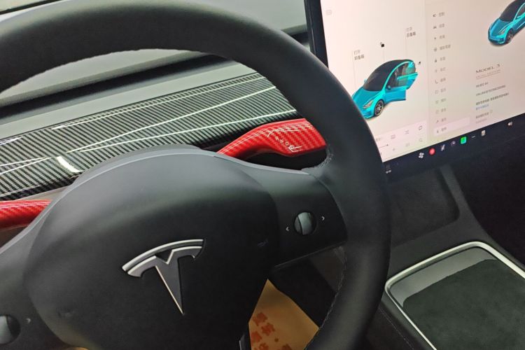 特斯拉 Model 3 2021款 Performance高性能全轮驱动版中控内饰18