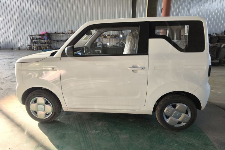 吉利银河 2024款 熊猫mini 200km 耐力熊车身外观4