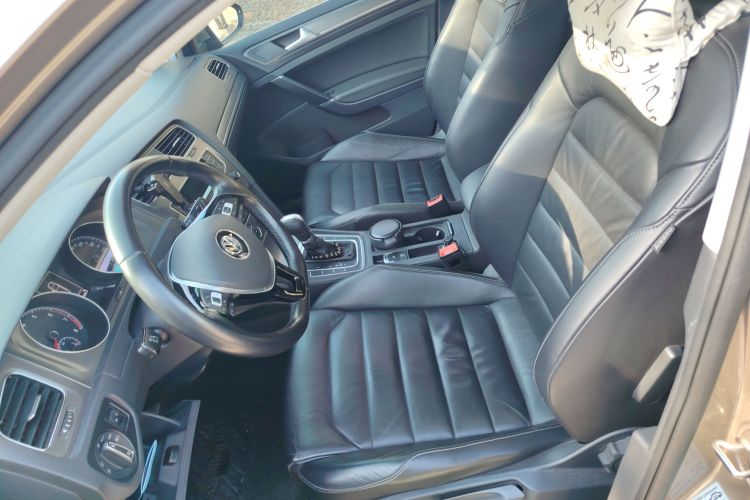 大众 高尔夫 2015款 1.4TSI 自动豪华型局部细节19