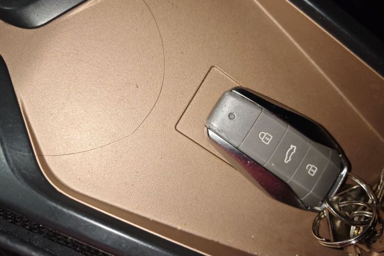 思皓 2022款 花仙子款 四叶草中控内饰7001