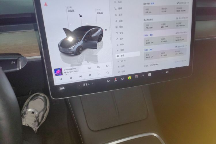 特斯拉 Model 3 2022款 后轮驱动版局部细节16