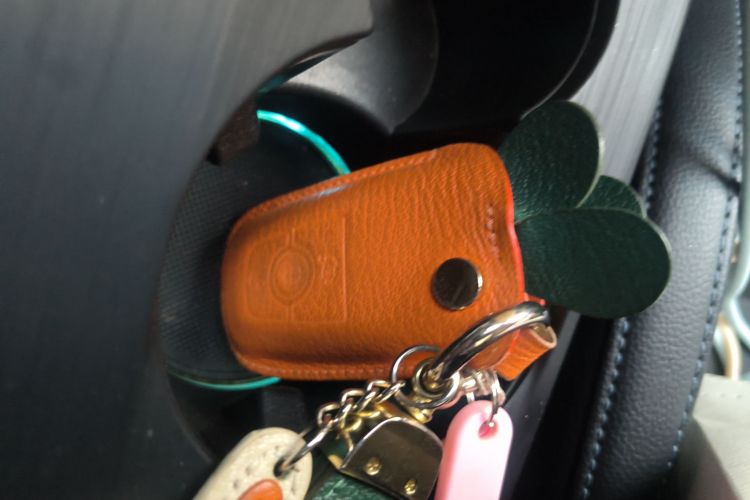 福特 福克斯Active 2020款 EcoBoost 180 自动劲耀型中控内饰11